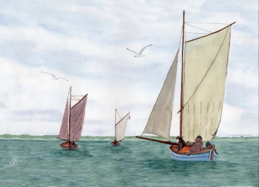 Poster DIN-A3 Zeesenboote Segelboote Boddenkette von Fischland-Darß-Zingst - Z3